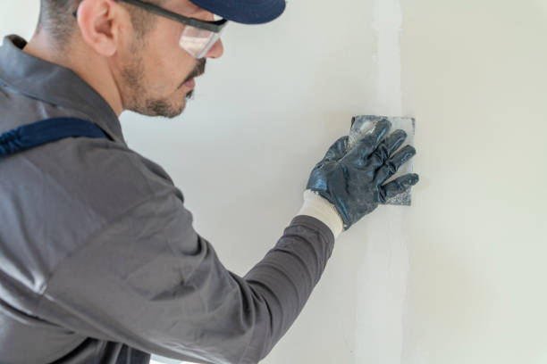 Best Air Quality Testing for Mold Spores  in Central, SC