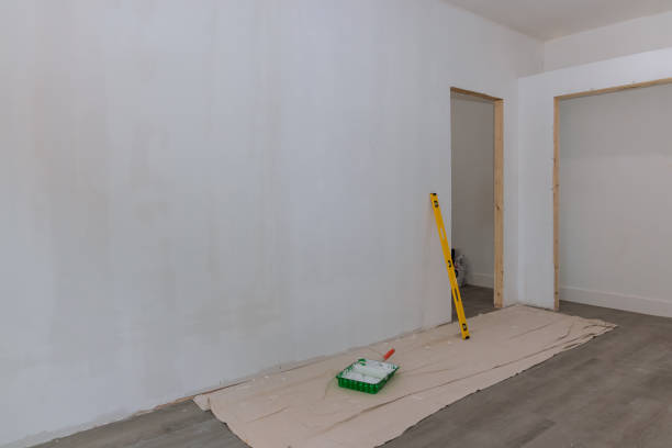 Best Basement Mold Removal  in Central, SC