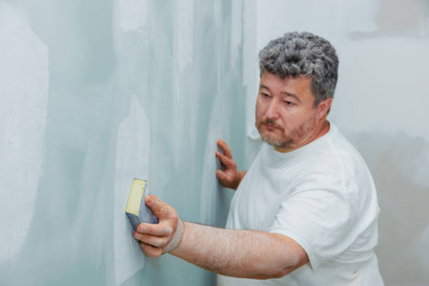 Best Black Mold Removal  in Central, SC