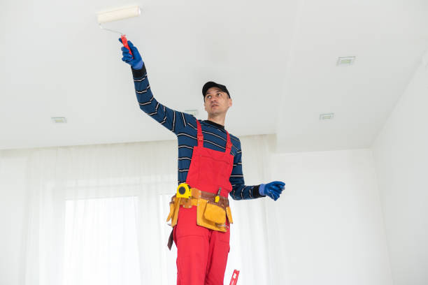 Best Mold Remediation for Healthcare Facilities  in Central, SC