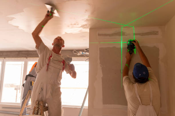 Best Airborne Mold Testing  in Central, SC