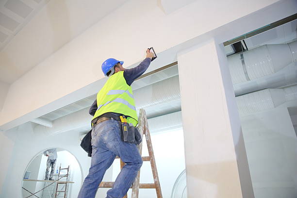 Trusted Central, SC Mold Removal Experts