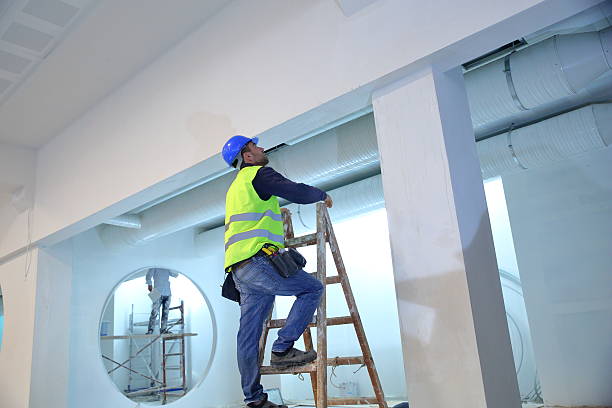 Best Mold Remediation for Healthcare Facilities  in Central, SC