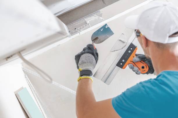 Best Mold Prevention Services  in Central, SC